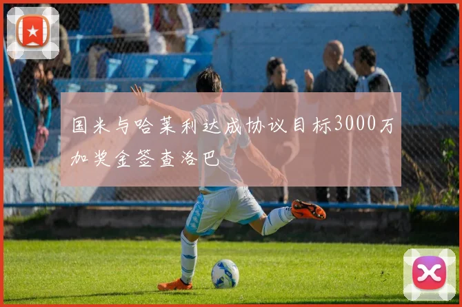 国米与哈莱利达成协议目标3000万加奖金签查洛巴