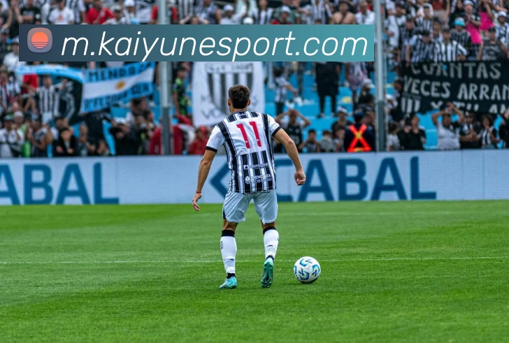 开云电竞平台生态图