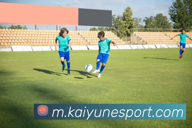 开云电竞APP 封面图